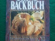 Grundbackbuch 1995 Isis Verlag - Gröbenzell