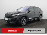 Skoda Kodiaq, 1.5 TSI Sportline iV, Jahr 2024 - Würzburg