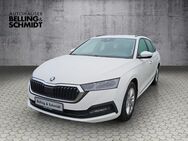 Skoda Octavia, 2.0 TDI Combi Ambition, Jahr 2020 - Salzwedel (Hansestadt)