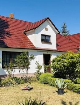 Ihr sonniges Plätzchen mit viel Grün - Wiek