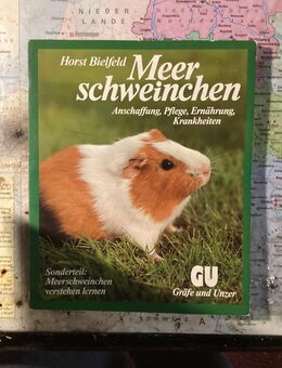 Meerschweinchen - Hannover Ahlem-Badenstedt-Davemstedt