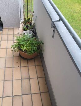 Attraktive 3-Zimmer-Wohnung mit Südbalkon in Regensburg - Hochparterre - Regensburg