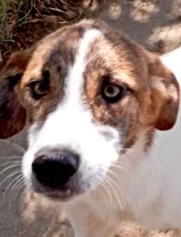 Lana möchte gerne ihr Köfferchen packen - Sehnde