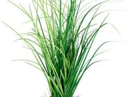 Kunstgras Grasbusch Gras, Creativ green, Höhe 27 cm, auf Grasballen