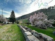 Zwei Häuser im Grünen mit Bachlauf und Badeweiher. - Oberkirch