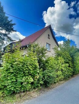 Idyllisches Wohnen mit viel Platz - Radebeul