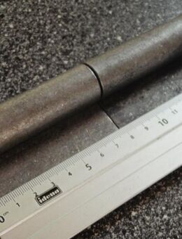 KO-Band 160 mm,roh - Ulmen