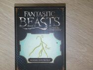 Harry Potter Bendable Bowtuckle Phantastische Tierwesen und wo sie zu finden sind in 36251