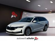 Skoda Octavia, 2.0 TDI Combi Selection, Jahr 2024 - Donaueschingen