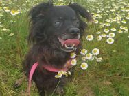 BLACKY - kleine Macken bis ins Alter - Overath