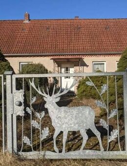 Irgendwo im Nirgendwo! Einfamilienhaus mit Nebengelass und großem Grundstück - ehemaliges Jagdhaus - Wittstock (Dosse)
