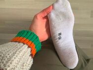 Biete getragene Socken, Schuhe, Unterwäsche und andere Kleidungsstücke - Ludwigshafen (Rhein)