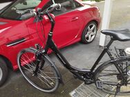 Damenfahrrad Stevens Albis City Cruiser 8 Gänge - Halle (Westfalen)