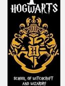 Harry Potter Hogwarts Badetuch, Strandtuch 70x140cm (Schnelltrocknend) in 24536