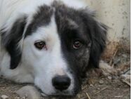 Unsere schüchterne Sara sucht Dich - Kallmünz