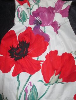 NEU * Mohn- Blumen * Blüten * Flower- Power * Bustier * Korsagen * Cocktail * Kleid "Coast" Gr. 34- 36/ XS- S * weiß * rot * - Riedlingen