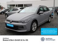 VW Golf Variant, 1.5 TSI Life, Jahr 2024 - Marburg