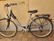 Damenfahrrad Winora Gr. 28 - Neckargemünd