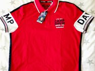 CAMP DAVID POLOSHIRT - NEU ‼️ - Celle