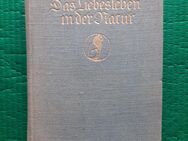 Das Liebesleben in der Natur 1924 Bölsche - Gröbenzell