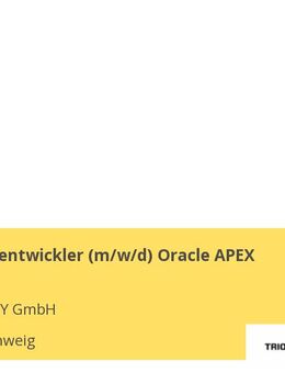 Datenbankentwickler (m/w/d) Oracle APEX - Braunschweig