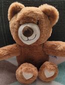 KUSCHEL-TEDDY sucht SCHMUSEBÄR! in 45309