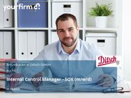 Internal Control Manager - SOX (m/w/d) - Mainz