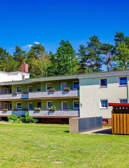 2-Zimmer-Wohnung direkt am Waldrand (nur für Senioren) - Soltau