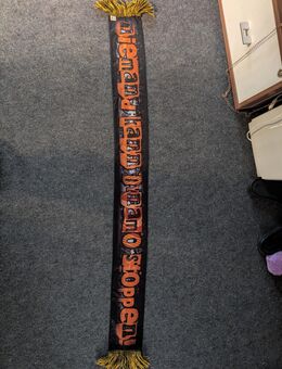 Dynamo Schal - Meißen Zentrum