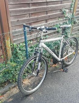 gebrauchtes MTB - Kerpen (Kolpingstadt)