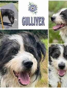 GULLIVER - aktiv & neugierig- - Duisburg