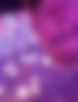 Flo*** - Medebach (Hansestadt)