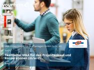 Teamleiter M&A für den Projektankauf und Kooperationen (m/w/d) - Meißen