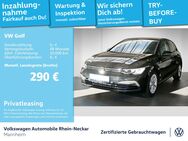 VW Golf, 2.0 TDI VIII Life, Jahr 2024 - Mannheim