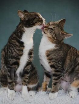 Judy & Zuza ein tolles Dreamteam - Unterföhring