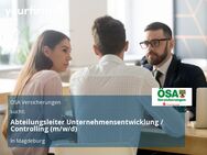 Abteilungsleiter Unternehmensentwicklung / Controlling (m/w/d) - Magdeburg