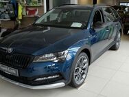 Skoda Superb, 2.0 TDI Combi Scout Final Edition, Jahr 2024 - Schneeberg (Sachsen)