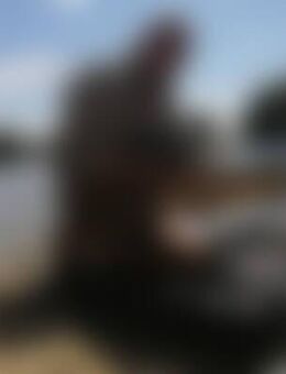 Den*** - Falkenberg (Elster)