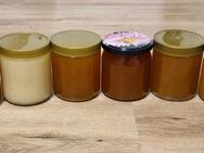 6 x 500g Honig Mix Frühtracht Sommertracht deutscher Bienenhonig - Berlin