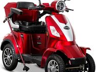 Rolektro Elektromobil Rolektro E-Quad 25 V.2, Blei-Gel-Akku, 1000 W, 25 km/h, (mit Topcase)