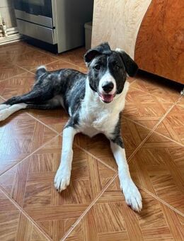 Ivory die liebevolle - Rambin