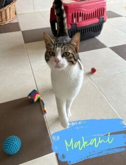 Eleganter Makani - Beckingen