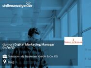 (Junior) Digital Marketing Manager (m/w/d) - Einig
