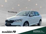 Skoda Fabia, Cool Plus 44kw, Jahr 2019 - Niestetal