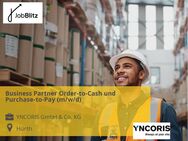 Business Partner Order-to-Cash und Purchase-to-Pay (m/w/d) - Hürth