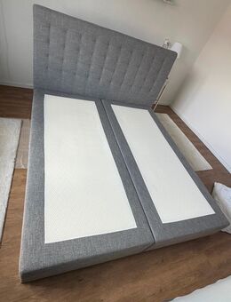 Boxspringbett Magnus - Baunatal