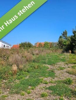 Mit Grundstück, ein Zuhause das überzeugt in Hess. Oldendorf. - Hessisch Oldendorf