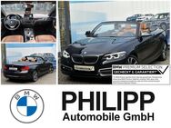 BMW 230, i Cabrio Luxury Ad Prof HiFi, Jahr 2019 - Mülheim (Ruhr)