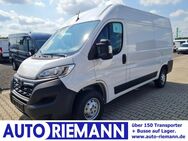 Opel Movano, C Kasten L2H2 KOMFORT, Jahr 2024 - Cloppenburg