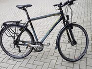 Cube Delhi Hs 11 Trekkingbike - Lingen (Ems)